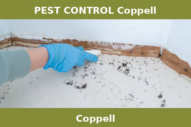 PEST CONTROL Coppell